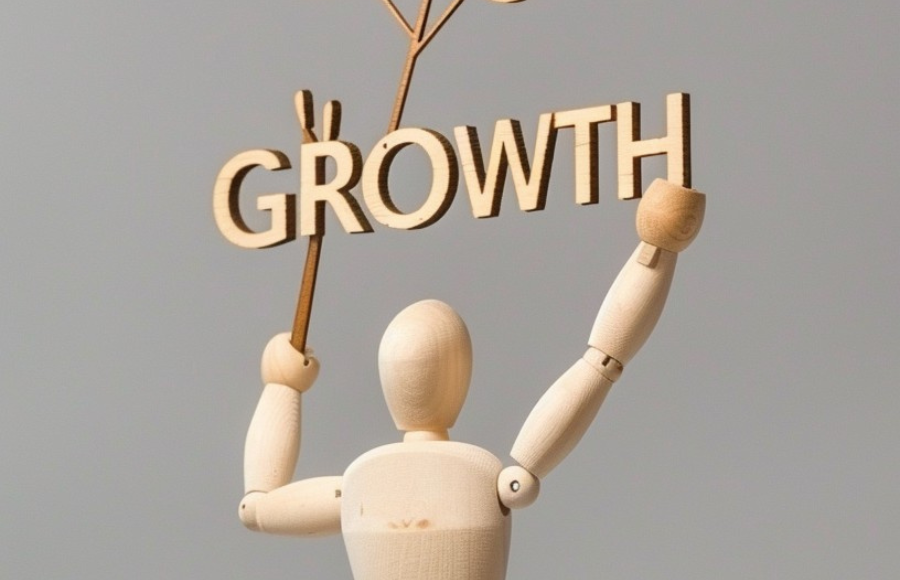 Wooden stick figure with GROWTH over head