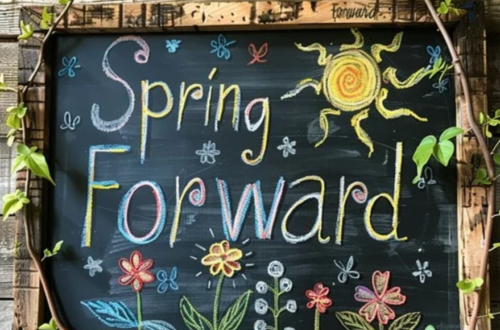 Spring Forward sign blackboard with chalk yellow flowers and floral scene.