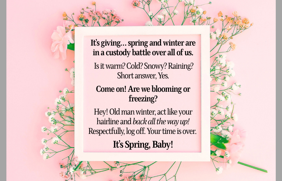 Funny sarcastic spring weather text. Pink background with wild flowers.