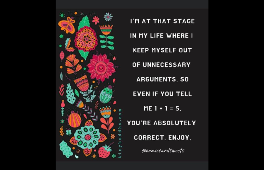 Quote if people say 1+1=5 I agree to not bother arguing with idiots