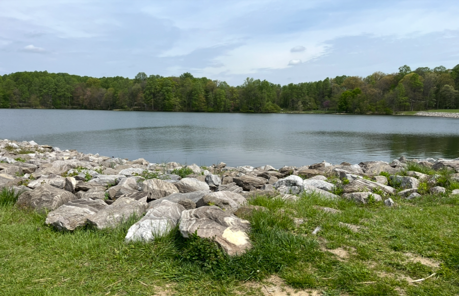 IreneB of SincerelyIreneB, October walk, feeling nature, open lake or body of water, rocks around the edge, the sun and phytoncides.