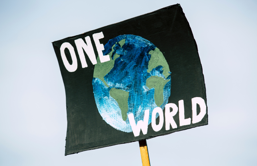 SincerelyIreneb, Vote, November midterms 2026, a poster with two words reading 'ONE WORLD' , each word outside a globe that's on the printed poster, on a black background, held up by a wooden stick